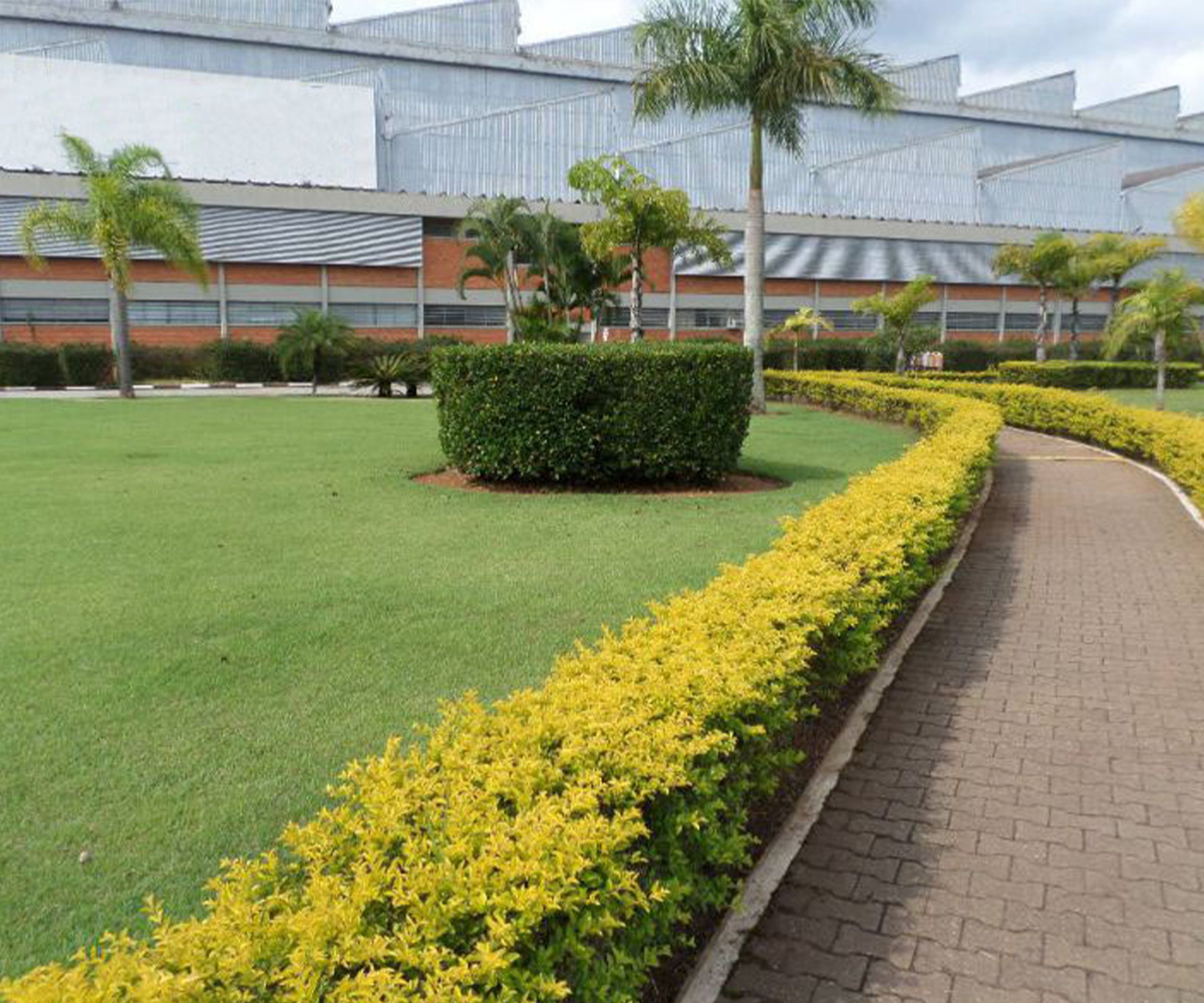 jardinagem 3