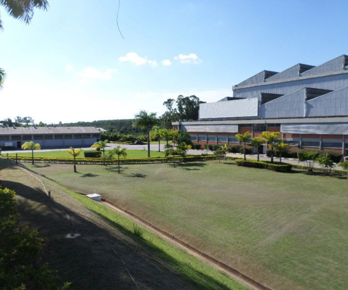 jardinagem 6
